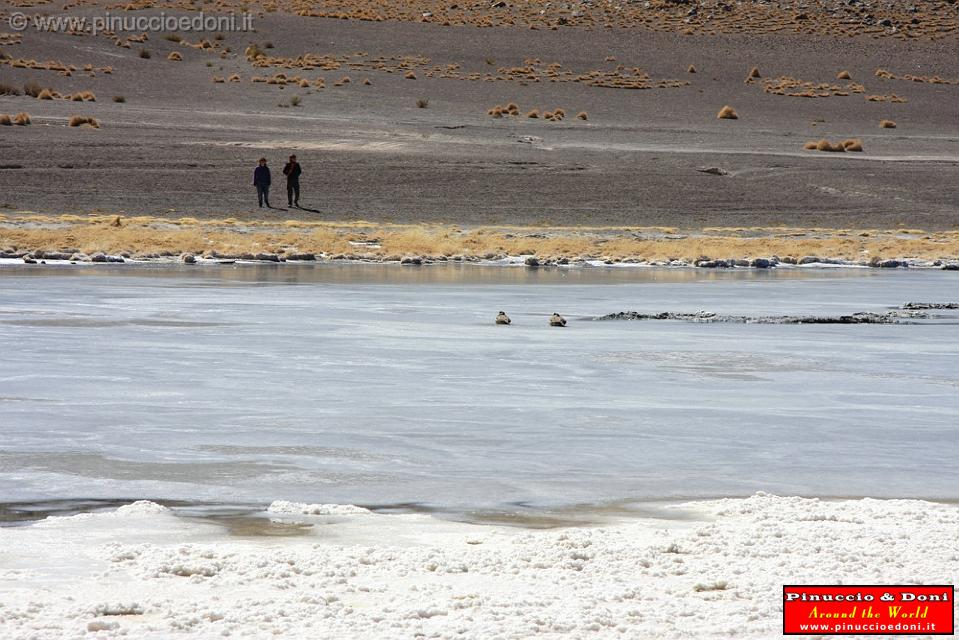 BOLIVIA 2 - Ruta de Las Joyas - Laguna Kanapa - 24.jpg